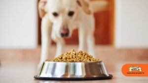 1759659170 F01b76a290db346b4183